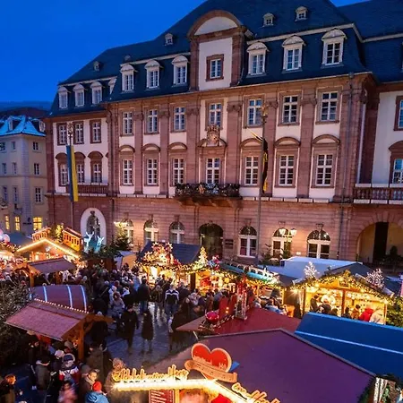 Naehe Heidelberg Fuer 4 Personen Lejlighed Plankstadt