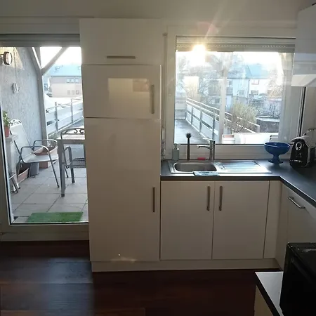 公寓 Naehe Heidelberg Fuer 4 Personen Plankstadt