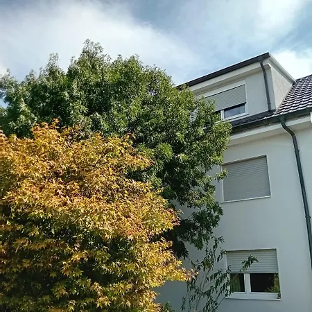 2 Exklusiv Naehe Heidelberg Fuer 1-4 Personen Mit Grossen Terrassen Апартаменты